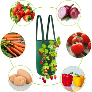 Sacs de <span class=keywords><strong>plantation</strong></span> de fraises <span class=keywords><strong>en</strong></span> feutre suspendus <span class=keywords><strong>en</strong></span> gros, sacs de <span class=keywords><strong>plantation</strong></span> de jardin de beauté pour fraises - Product Image 6