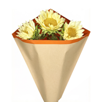 Bedruckte Einzigartige Recycelte Kunst-Kraftpapier-Hülle - Kreative Holzfaser-Pyramide für Blumen- und Pflanzenverpackungen