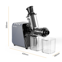 Bpa Vrije Nieuwe Kauwen Juicer Stille Motor Schroef Pers Tomaat Oranje Fruit Juicer Horizontale Hele Slow Juicer