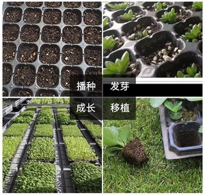 Plateaux de semis multi-cellules pour une germination efficace des semences Pot de plantation en plastique léger pour balcon et myrtille - Product Image 6