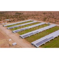 Clear Span Building Poulailler Cadre Poulailler Pour 2000 Poulet En Ouganda Prix