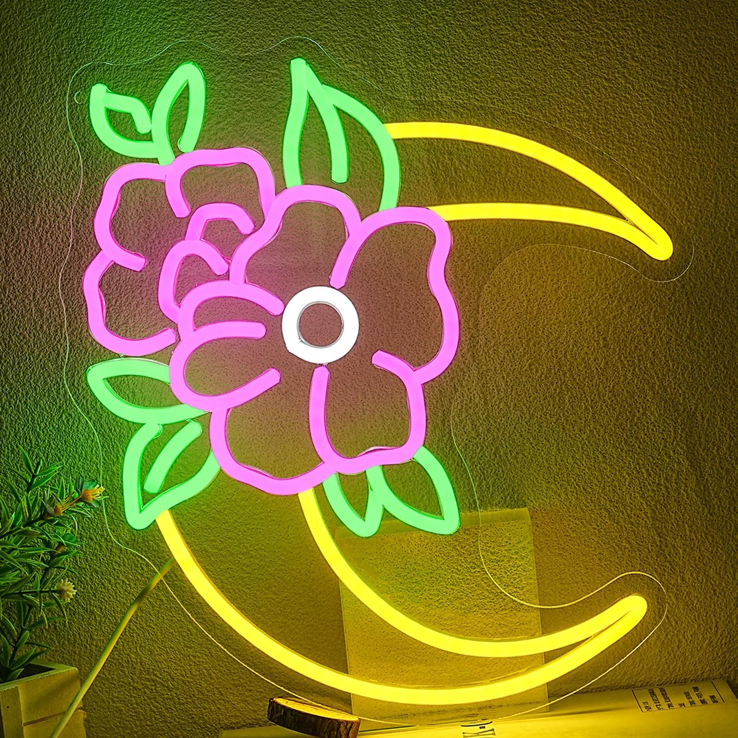 Image color 5V