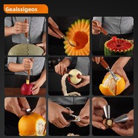 Handmatige 304 roestvrijstalen multifunctionele fruitschaaf, watermeloenballetjesvormer en fruitschepset