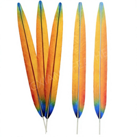 Plumes de faisan artificielles teintes sur mesure de 20-65 cm, accessoires en fausses plumes de perroquet pour usage quotidien et fêtes