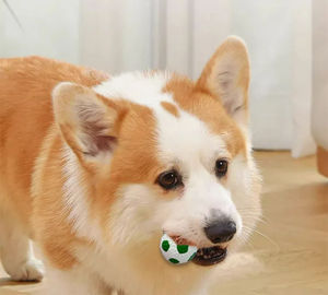 Commercio all'ingrosso della fabbrica Mini eco-friendly lattice <span class=keywords><strong>Squeaky</strong></span> palle di cane calcio pallavolo noia sollievo giocattoli da masticare per cani uso quotidiano - Product Image 5