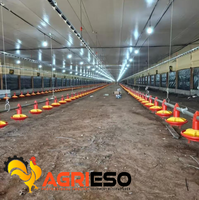 Système automatique d'alimentation et d'abreuvement pour volailles avec moteur italien Transtecno pour élevages de poulets de chair, pondeuses et reproducteurs