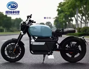 ER200 EEC Good Quality Widely Used Powerful 6000w 72v Electric Motorcycles For Adults