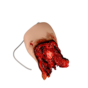 Силиконовый тренажер для снятия лапы - Product Image 2