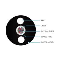 Cable de Fibra Óptica Monomodo de 2, 4, 6, 8, 12, 24 Núcleos, GYFXTY G652, Cable de Fibra Óptica para Exteriores de 24 Núcleos