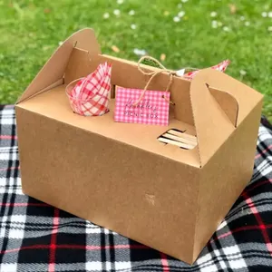 Holidaypac toptan piknik parti çikolata çerez Kraft kağıt tatlı tedavi kutuları ikram ambalaj tabağı kutusu