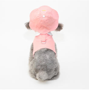 Spring Summer New Pet Hat <strong>Dog</strong> <strong>Cap</strong> for Small <strong>Dogs</strong> Sunshade <strong>Cap</strong> <strong>Flat</strong> <strong>Cap</strong> Pet Accessory - Product Image 4