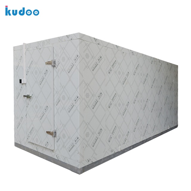 CE Certified Modular Cold Room With Reinforced Square Steel Base Liftable by Forklift for Cold Storage and Freezer Warehouse