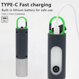 Nhà máy cung cấp LED torchlight sạc cầm tay di động cắm trại đèn lồng đêm đèn với móc Loại-C - Product Image 5