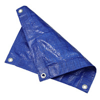 Bâches résistantes de feuille de bâche de HDPE couverture imperméable de camion de couleur bleue de 9ft et de 12ft pour le style simple de tente