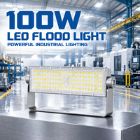 Projecteurs LED ultra-minces en aluminium moulé sous pression 100W pour façade de panneau publicitaire commercial