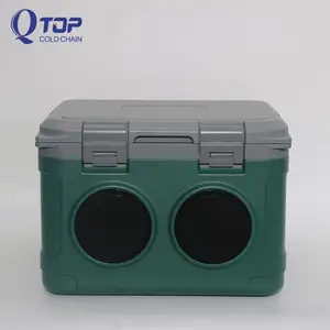 factory outlet 21L Portable PE Insulated Cooler Box With Speaker Wine Chiller Bucket Audio Ice Box Coolers