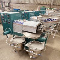 Automatische Seseme Baobab Zaden Zwarte Druivenzaad Mosterd China Frituurolie Maken Machine Soja Palm Fruit Olie Persmachine