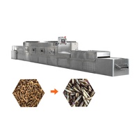 Milieuvriendelijke roestvrijstalen industriële magnetronvacuümdroger voor het drogen van mango's, fruit, groenten en voedsel, met hoge efficiëntie