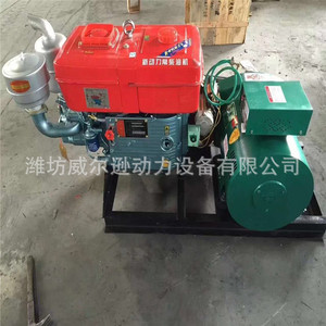 Groupe électrogène diesel Weifang 8-24 kW 400/230 V 50 Hz monocylindre avec compteur de courant - Product Image 1