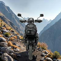 2000W Off-Road elektrikli motosiklet | 80 km/h uzun menzilli spor E motosiklet 12 inç vakum lastikleri ile