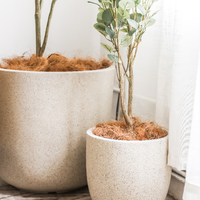 Pots à fleurs en ciment légers et écologiques de style cylindrique nordique pour une utilisation en intérieur/extérieur à la maison