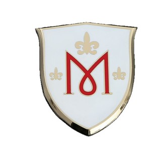 Épinglette personnalisée en forme de <span class=keywords><strong>bouclier</strong></span> électroplaqué avec lettres anglaises pour la publicité et les cadeaux commémoratifs - Product Image 5