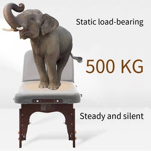 Table de massage professionnelle portable à trois plis, lit de thérapie réglable en hauteur, table de massage pliable pour <span class=keywords><strong>spa</strong></span>, salon, physiothérapie - Product Image 3