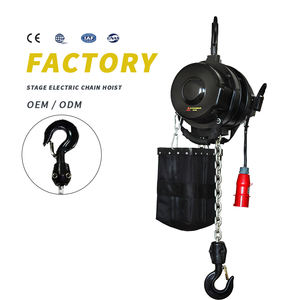 Monte-charge électrique de 10 pouces, moteur de scène à banderole, 1 tonne - Product Image 1