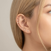 Maina Trendy Claw Setting Cartilage Labret Piercing Jewelry Geometric Zircon Screw Ear Lip Stud Internally Thread Trgaus Earring