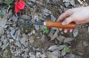 Outils horticoles <span class=keywords><strong>trois</strong></span> <span class=keywords><strong>dents</strong></span> râteau herbe labour outil acajou poignée <span class=keywords><strong>trois</strong></span> griffes ménage fleur culture - Product Image 4