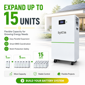 Batería de Litio Personalizada de 15 kWh, 48 V, 51.2 V, 100 Ah, 200 Ah, 300 Ah, para Almacenamiento de Energía Solar Doméstica - Product Image 1