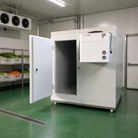 Ruitai Food Koelcel, Modulair Snel te Monteren, Weinig Onderhoud, Opslag van Boerderijproducten, Verse Bloemen, Medicijnen