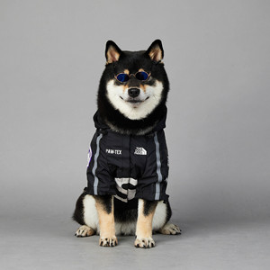 Luxury Waterproof <strong>Dog</strong> Hoodies Vest Raincoat Jacket Hot Sale Pet Clothes in Small &amp; Big Sizes for Winter for <strong>Dogs</strong> <strong>Fans</strong> Wholesale - Product Image 1