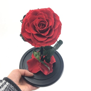 <span class=keywords><strong>Bella</strong></span> Rose, Flor Encantada en Cúpula <span class=keywords><strong>de</strong></span> Cristal, Decoración Elegante para el Hogar, Plant-FuncyFlora, Rojo, para Bodas, 12x20cm, Yunnan - Product Image 3
