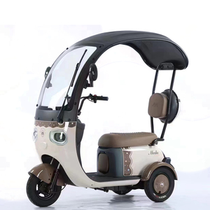 2023 populaire trois roues Tricycle vélo <span class=keywords><strong>électrique</strong></span> Vintage Scooter 3 roues Cargo Ebike <span class=keywords><strong>avec</strong></span> <span class=keywords><strong>toit</strong></span> - Product Image 3
