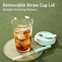 Tasses à café portables en verre 300ml 350ml avec couvercle et paille pour boissons froides – Meilleures ventes