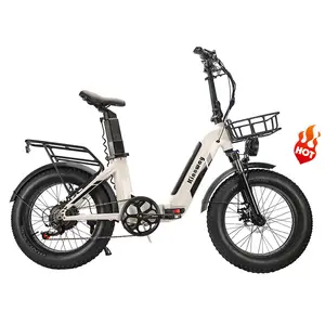 عينة مجانية من شركة تصنيع المعدات الأصلية دراجة كهربائية هجينة enduro ebike مع إطار عريض 48 فولت 26 أمبير مع 20 بوصة دراجة كهربائية مزدوجة البطارية