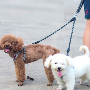 Fábrica Stock Dog Chumbo para dois cães de uma só vez Double-ended Dog Cadeia Pet Leash para Teddy e Golden Retriever Pet fornecimentos - Product Image 1