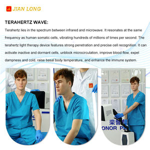 2025 Terahertz terapi tubuh penghilang nyeri sirkulasi darah mesin pijat Thz Terahertz perangkat detoks fisioterapi - Product Image 6