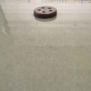 Piège à colle pour souris PCO - Product Image 2