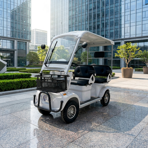 Nouveau mini véhicule électrique commercial 3 places double rangée 60V 650W/800W, chariot de tourisme avec suspension hydraulique, autonomie 41-53km pour centres de villégiature et parcs - Product Image 1