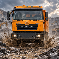 Выгодная цена на самосвал Shacman F3000 6x4, 10-колесный, тяжелый, Евро-2, для продажи