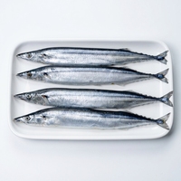 Saury Congelado OEM, Marca Privada, Corte Personalizado, Procesamiento y Empaque, Saury Fresco para Propietarios de Marcas, Empresas de Alimentos, Fábrica de Procesamiento OEM