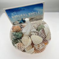 Décoration d'aquarium en coquillages naturels mignons, étoiles de mer, artisanat DIY, souvenir de maternelle, fabriqué en Chine