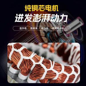 มอเตอร์แบบอะซิงโครนัสสามเฟส 250W 380V อุปกรณ์เครื่องกลประสิทธิภาพสูงสำหรับอุตสาหกรรม - Product Image 3