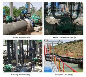 Pompe à eau industrielle horizontale à double aspiration robuste, directement de l'usine, pour l'irrigation agricole et les projets de lutte contre les inondations - Product Image 5