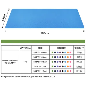 Matras Yoga TPE 10Mm Ramah Lingkungan Logo Kustom Kualitas Tinggi dengan Tali