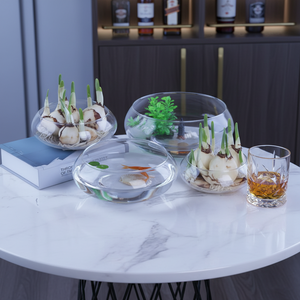 Jarrón de Vidrio para Flores, Maceta para Loto, Pennywort, <span class=keywords><strong>Narciso</strong></span>, Cultivo Hidropónico, Plantas Verdes, Decoración para Sala de Estar, Balcón, Mesa - Product Image 5