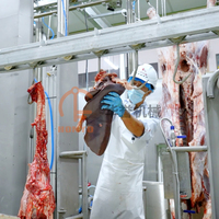 Ligne d'abattage de bovins, convoyeur de vaches vivantes, boîte d'étourdissement, abreuvoir de saignée, équipement d'abattage et de traitement du bétail pour abattoir