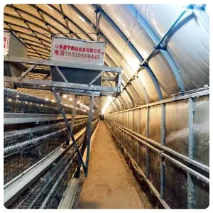 Automatic A type chicken cages egg layer poultry farms used in poultry farm Free Design